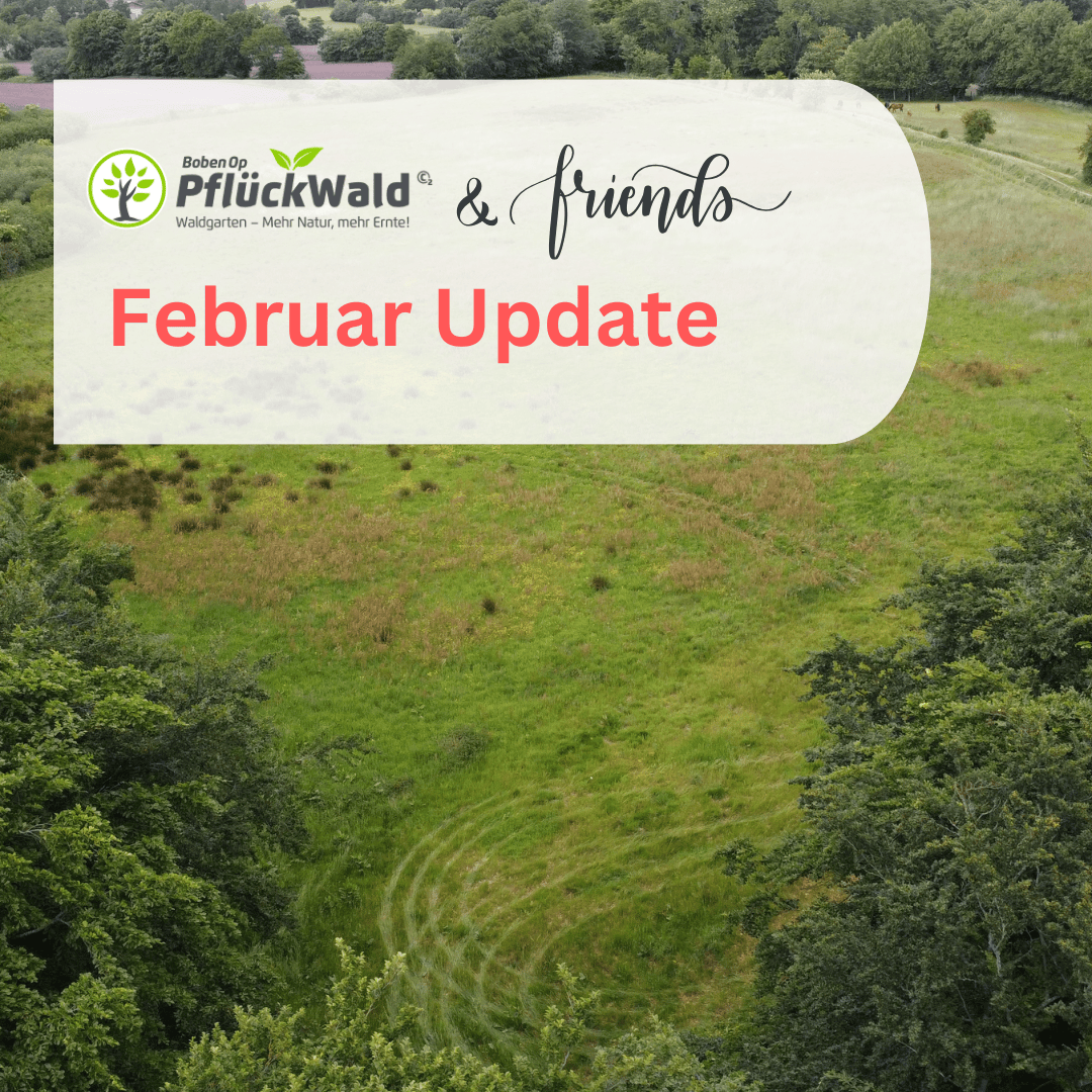 Harrislee Pflückwald and Friends Update Bild